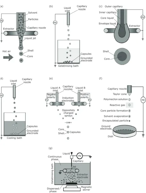 Fig. 1. Electrohydrodynamic microencapsulation techniques: (a) electrospray drying; (b) electrospray  extrusion and gelling; (c) electrospray coextrusion; (d) electrospray cooling; (e) electrospray mixing; (f) electrospray microencapsulation in reactive ga