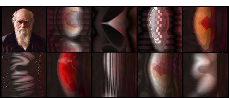 Figure 1. Source Darwin image with examples of evolved abstract portraits created using an automatic creative system