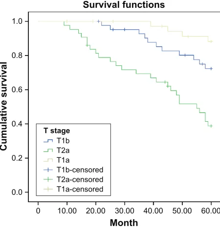 Table 1 The relationships of cT morphological features with 5-year survival rates of patients with stage i non-small cell lung cancer