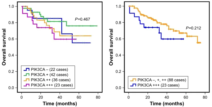 Figure 2 Overall prognostic significance of PIK3CA expression, which was analyzed using the Kaplan–Meier survival curve in DLBCL.Notes: Of all the patients diagnosed with DlBcl, totaling 205, there were only 101 cases retrieved with the overall prognosis i