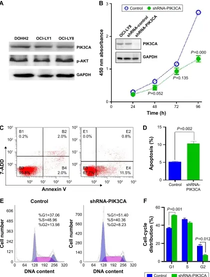 Figure 3 Knockdown of PiK3ca was pronouncedly capable of preventing proliferation and promoting apoptosis, rendering the cell-cycle arrest at the g1 phase in Oci-lY8 cells.Notes: (A) The basal expression of PiK3ca and p-aKT was detected in six different ki
