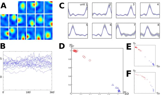 Figure 4. Simulation Results for the Open Field with More Realistic Movement Patterns and Competitive Learning for Sparsification in the Last Layertriangles)