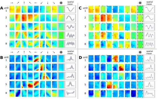 Figure 5. Simulation Results for the Open Field with Trajectories Where Spots on the Wall Were Fixated(B) ICA results plotted with(C) Same results as in (A) but plotted with(D) Same results as in (B) but using the plot method from (C)