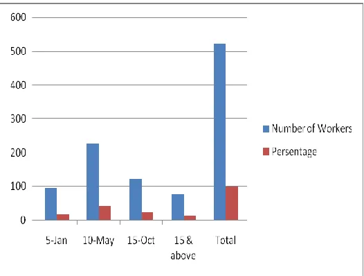 Figure 3.  Distribution of workers according to experiences (years) 