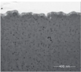 Fig. 1. EM image of the back wall of a trough cut  in the surface of a sample of Q1, revealing the  cross-section through the internal nanoscopic  pore structure of the material