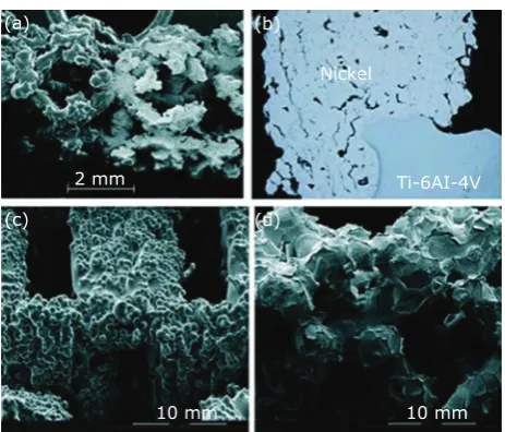 Fig. 6. (a) SEM image of a cold sprayed Ni coating  