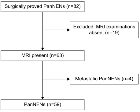 Figure 1 Flow diagram of the study patients with PanneTs.