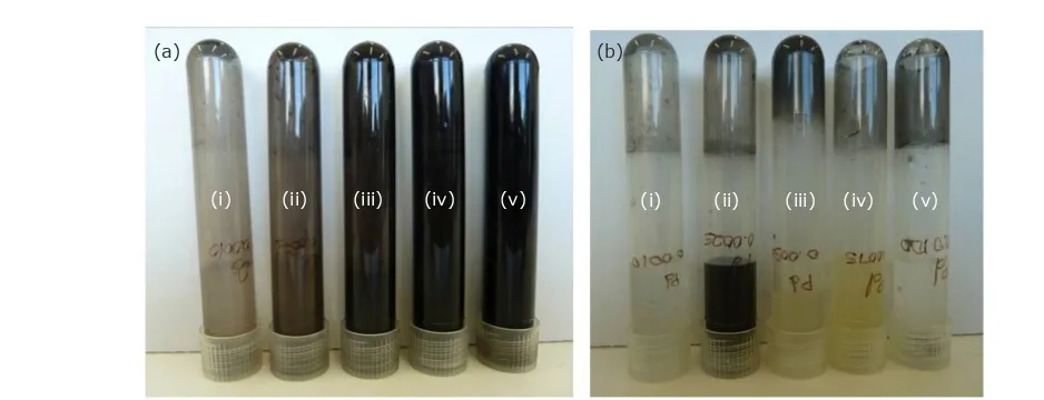 Fig. 2. Effect of irradiation on: (a) Os and (b) Pd solutions of concentrations (i) 1.0 × 10–3(iii) 5.0 × 10 M, (ii) 2.5 × 10–3 M, –3 M, (iv) 7.5 × 10–3 M and (v) 1.0 × 10–2 M irradiated at 90 kGy