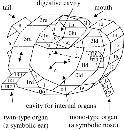 Figure 6. A nominal living creature 