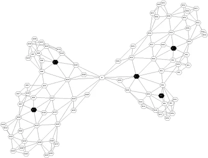 Figure 3: The cortex represented as an adjacency graph, showing the Brodmann areas as nodes, with lines 