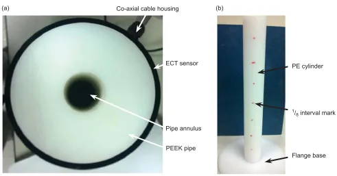 Fig. 2. Individual components of cylinder-in-tube phantom: (a) thick-walled PE tube within PEEK-lined ECT sensor; (b) 40 mm diameter PE cylinder with ﬂ anged base