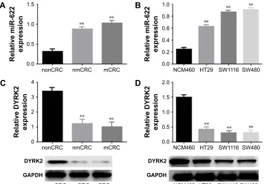 Figure 1 (Continued)