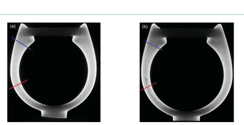 Fig. 14. CT images of the ring mounted to the main sprue: (a) 90º; (b) 45º
