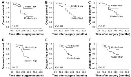 Figure 3 Kaplan–Meier overall (A–C) and disease-free (D–F) survival curves for osteosarcoma patients based on Kindlin-1 (A and D), Kindlin-2 (B and E) and Kindlin-3 (C and F) protein expression.