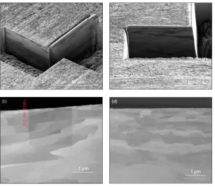 Fig. 8. Dualbeam (FIB and SEM column) analysis of samples: (a) and (b) the cold worked sample; (c) and (d) the cold worked and heat treated sample