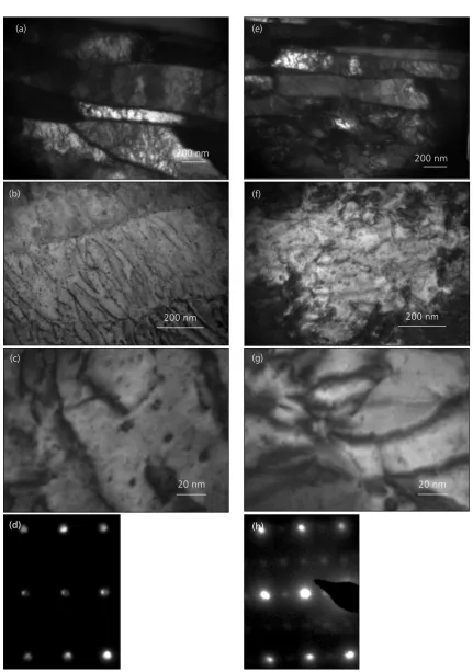 Fig. 9. TEM-SAED analysis on dualbeam prepared thin foils: (a), (b), (c) and (d) cold worked samples; (e), (f), (g) and (h) cold worked and heat treated samples