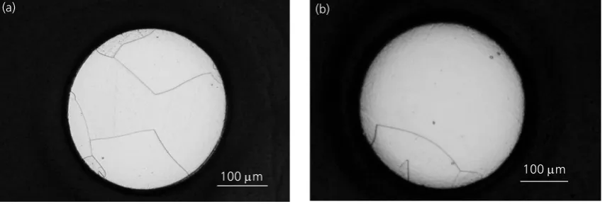 Fig. 10. TEM lamella for: (a) Sample 1; and (b) Sample 2. A grain boundary is clearly visible in both cases