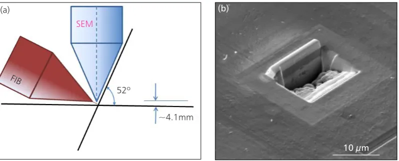 Fig. 1. (a) Schematic of dualbeam FIB/SEM equipment; (b) an example of a cross-section by FIB