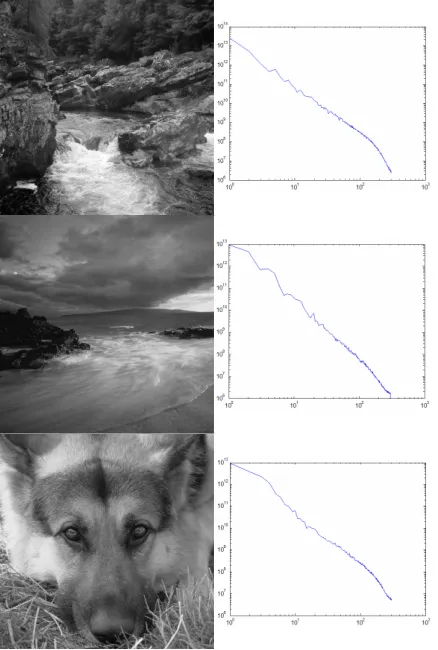 Figure 2 Left: These are examples of unnatural images. The first is purely random noise