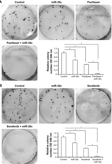 Figure 9 mir-30c up-regulates the inhibitory activity of paclitaxel and sorafenib on caki-1 cell colony formation.Notes: (A, B) caki-1 cells, which were infected with control or mir-30c, were treated with the ic50 concentration of paclitaxel (0.8 μmol/l) o