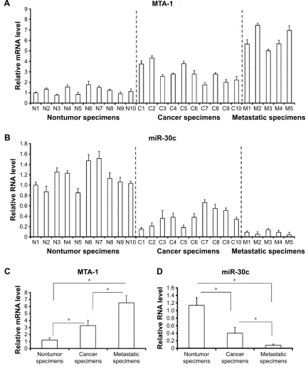 Figure 1 The endogenous expression of mir-30c is inversely associated with MTa-1 in clinical specimens.Notes: endogenous mrna level of MTa-1 (A, C) or rna level of mir-30c (B, D) was detected by qrT-Pcr in 10 nontumor (n1–n10), 10 primary ccrcc (c1–c10), a