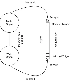 Figure 3.2: Functional circle (adapted from Von Uexk �ull, 1957).