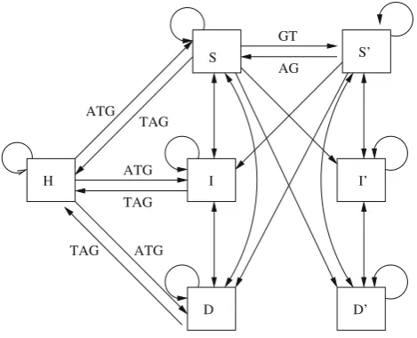 Fig. 3 SchematicrepresentationoftheﬁllingofmatricesS, S′, D, D′, I, I ′ and H