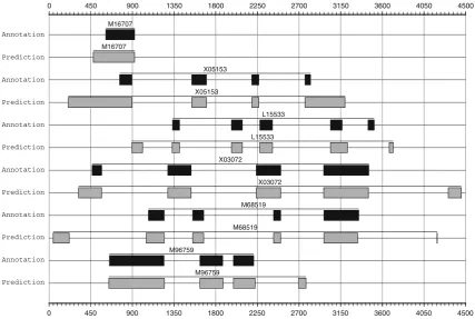 Fig. 5 Examples of mispredicted and overpredicted exons byones by Exon_Finder2. The real exons are represented by black boxes, and the predicted gray boxes
