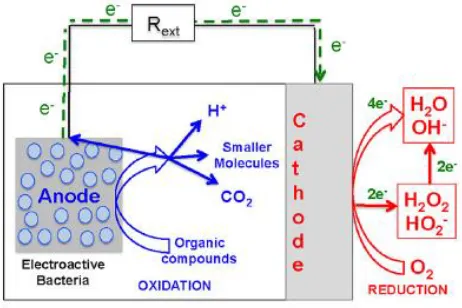 Fig. 1 Schematic of MFC [26] 