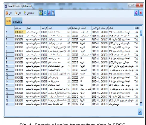 Fig. 1. Sample of sales transactions data in SPSS 