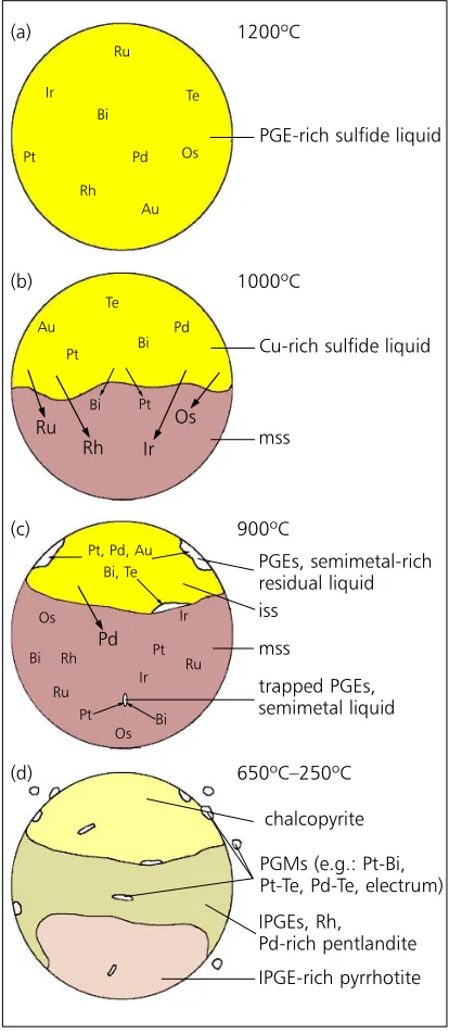 Fig. 5. Schematic representation of a fractionating,platinum group element-rich sulfide droplet (see textfor explanation)