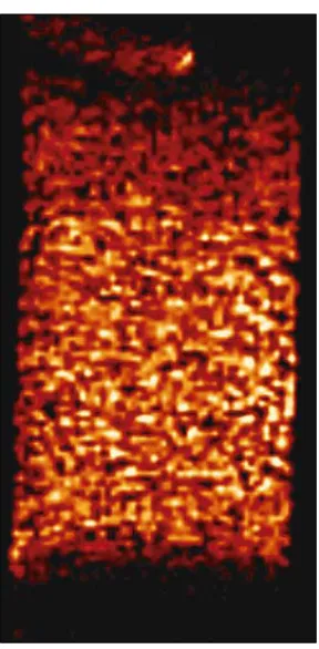 Fig. 7. Two-dimensional magneticresonance image of the spatial distri-bution of liquid in a trickle bed reactorcontaining Pd/Al2O3 catalyst, duringthe hydrogenation of 1-octene (35)