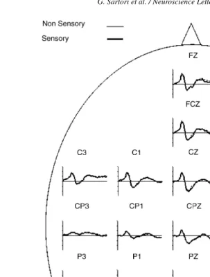Fig. 2. Grand average ERPs in response to descriptions of Sensory and Non-sensory concepts