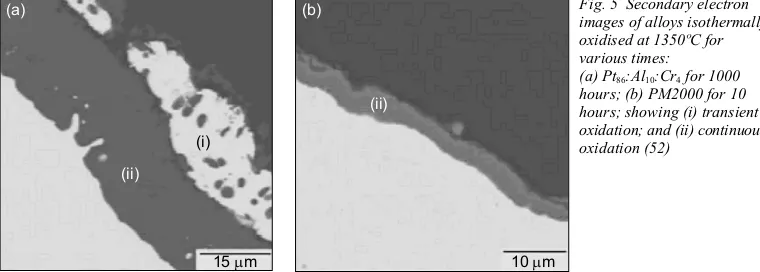 Fig. 5  Secondary electronimages of alloys isothermally
