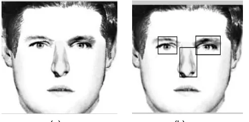 Figure 5:  (a) Original Image; (b) Marked with Bounding Box Image 