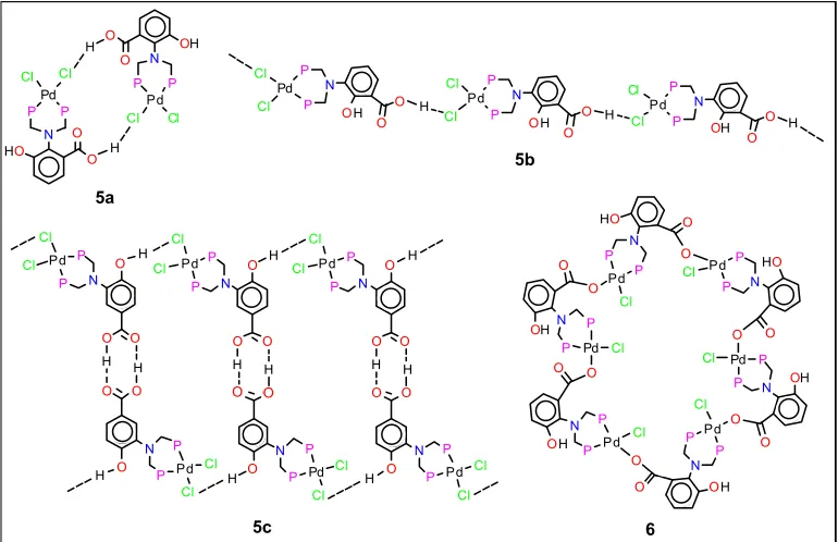 Fig. 2  Structural motifs of different square-planar palladium(II) phosphine complexes 5a–5c and 6