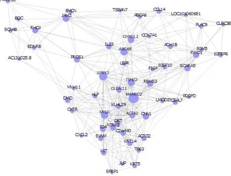 Figure 4 Kaplan–Meier estimates of the survival in the geO test data set. Note: Kaplan–Meier curves for gse29044 (n=138) and GSE10780 (N=185) test data set.Abbreviations: GEO, Gene Expression Omnibus; HR, hazard ratio.