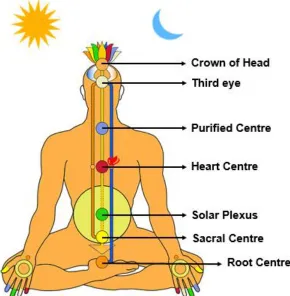 Fig. 3: Seven centres of vital sheath present in subtle body 