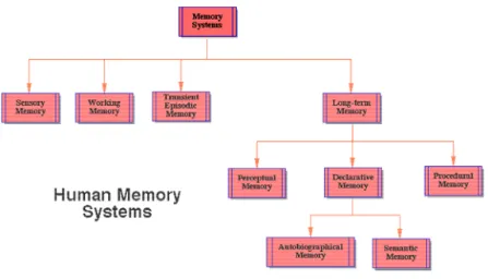 Figure 1. Human Memory Systems 