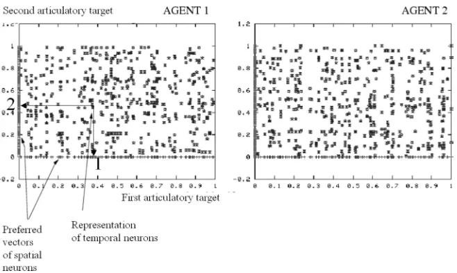 Figure 2.The neural maps of the same two agents after 1000 interactions. We observe: (1) that the preferredvectors of the spatial neural map are now clustered, which means that vocalizations are now discrete: the articulatorycontinuum has been broken; and 