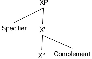 Figure 1  A common, simplified variant of X-Bar Theory 