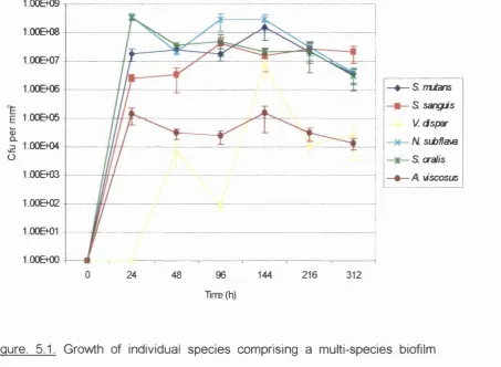 Figure. 5.1. Growth of individual species comprising a multi-species biofilm 