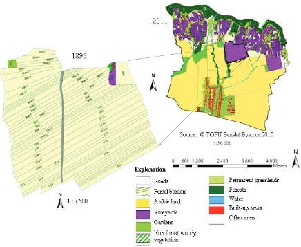 Fig. 4 shows the landscape structure changes at 