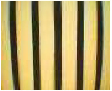 Figure 2: The environment from the robot’s perspective.
