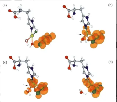 Fig. 5 semitransparent isosurface. The black arrow indicates the development causes the detachment Snapshots from a FPMD simulation showing the heterogeneous formation of a Pt dimer covalently bound to a histidine amino acid