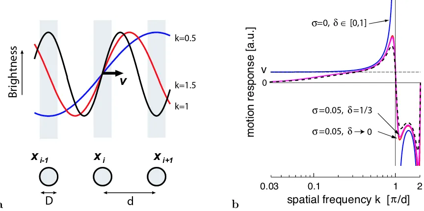 Figure 4: Spatial sampling and its eﬀect on the motion response.(a) Spatial samplingof sinusoidal brightness patterns of diﬀerent spatial frequencies k (given in units of theNyquist frequency [π/d]) in one visual dimension