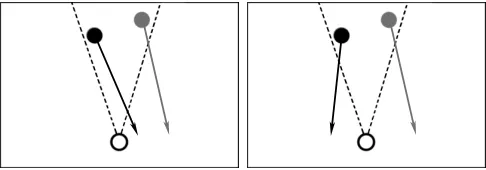 Figure 8:  The types of trial soluble by two different fixed action  patterns:  Continuing in the same direction after catching the first object (left) or reversing direction (right) 