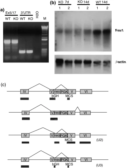 Fig. 10(a) (as well as the others described in Fig. 9) rules out