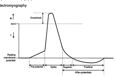 Figure 2.10: Diagram of an action potential and its important features. Based on a diagram in Geddes (1972)