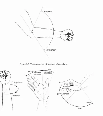 Figure 3.7: The three degrees of freedom of the wrist